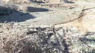 450 Dirt bike power