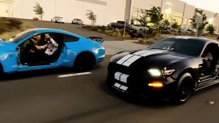 Hood Shelby‘s