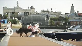 Wonderful Thief