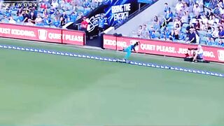 Best catch in cricket history| making stunt in cricket | impossible catch ????????✨