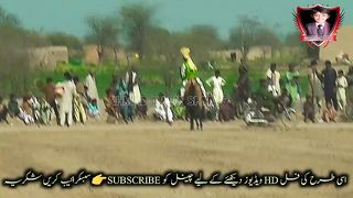 #hoers#riding in#jhamra#darbarkala#shah 6