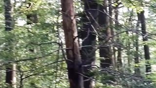 Beautiful nature 69