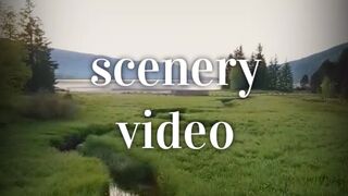 Scenery video #naturebeauty