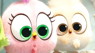Angry birds 5