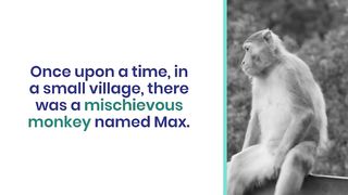 The Story of the Owl and the Monkey