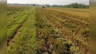 modern rice harvesting machines