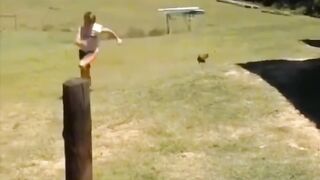 Funniest animals ????????????