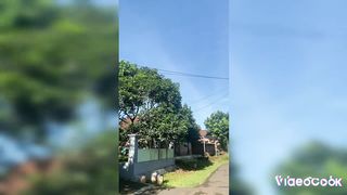 panorama of natural technology