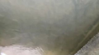 Catching and Cooking Fish