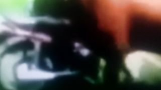 Animal lovers 86