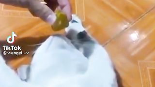 Приколи 250