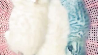 Lovely. New. Born