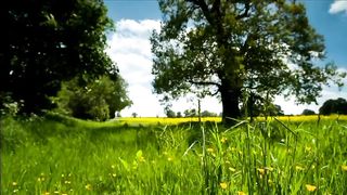 Relaxing music 7