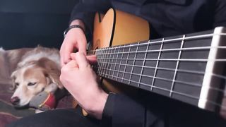 The_Last_Of_Us_Fingerstyle_Guitar_Main_Theme