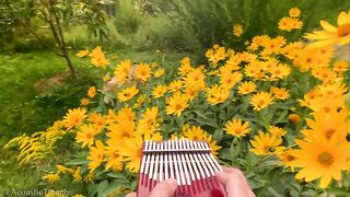 Here_Comes_The_Sun_on_a_Kalimba