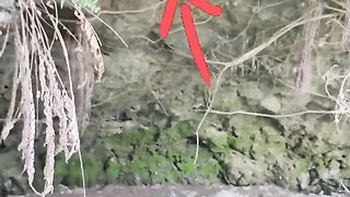 Snake Palace in West Manggarai, Lembor Village