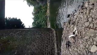 Mancing Mania