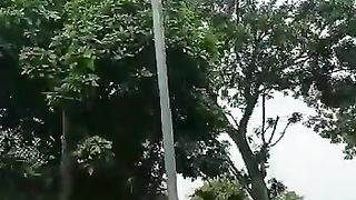 Dokumentasi Display