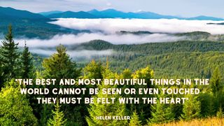 Quotes about happy and beautiful