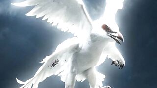 White raptor with wings
