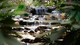 The beauty of nature and peace of mind