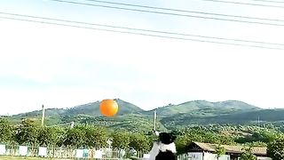 Wandarfull videos_dogs playing video injoy this video dogs
