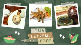 Thai Extreme Food