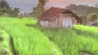 Perintah Untuk Selalu Bersyukur