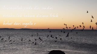 Motivation 355