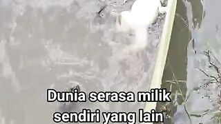 Funny 973