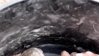 Filhotes de coruja