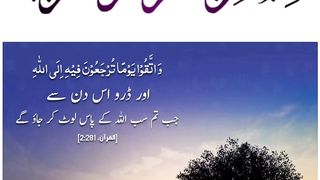 Quran , Al Quran Surah 02 Ayat 281 #viral #shorts #quran #youtubeshorts