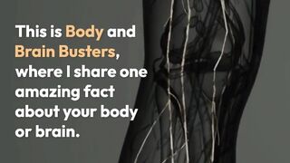 Body and Brain Busters episode 2:  Why Men Forget More Than Women