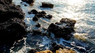 i love the sea