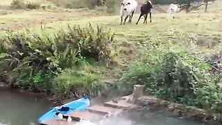 De takkar