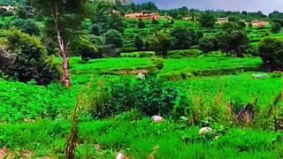 Amazing Nature Photography