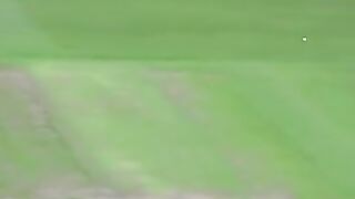 Cricket 56