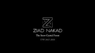 The_Snow_Crystal_Forest_Ziad_Nakad_Haute_Couture_F_W_17-18_show(360p).