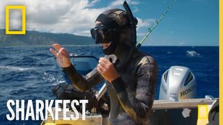Tagging Tiger Sharks | SharkFest