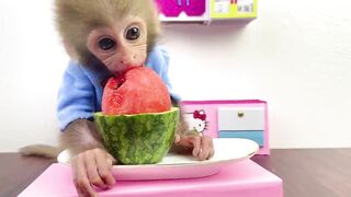 Baby monkey eats mini watermelon and playing with puppy and ducklings in the garden