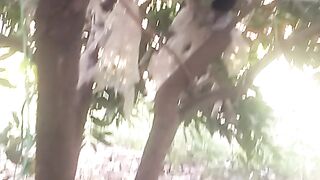 Animal lovers 95