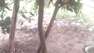 Animal lovers 96