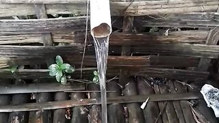 Air pancuran di pedesaan