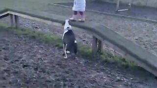 Funny moment's of babies
