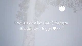 Promises of ALLAH ( SWT ).????????✨