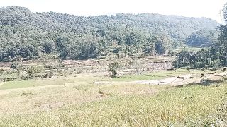 Paddy field area of ​​Compang Kantar Village