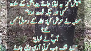 Hadees Pak |  Status