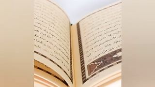 learn tajweed in english