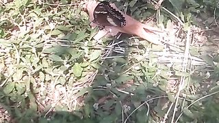 Animal lovers 100
