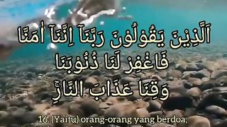 Beautiful Quran Recitation 3